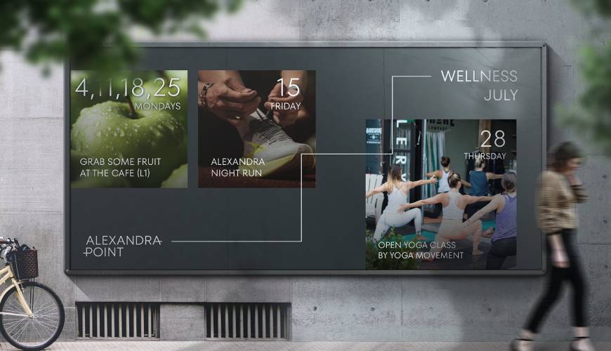 叶县画册设计公司如何进行品牌审核