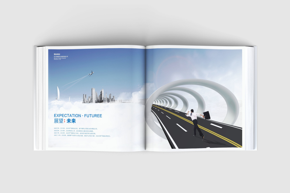 叶县画册设计